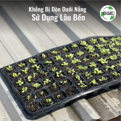 Khay Gieo Hạt/ Khay Ươm Cây Giống GT. Cho Năng Suất Cao, Cây Nhanh Lớn, Cây Con Khỏe, Dễ Sinh Trưởng. Thương Hiệu SGE