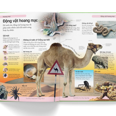 Bách Khoa Cho Trẻ Em - Bách Khoa Tự Nhiên