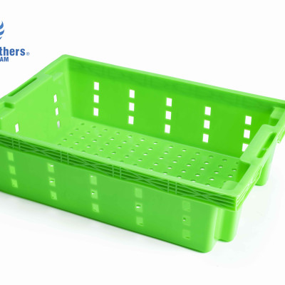 Khay nhựa trồng rau/khay nhựa đựng cá siêu bền Siam Brothers - Xanh