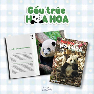 Gấu trúc Hoa Hoa - Amak