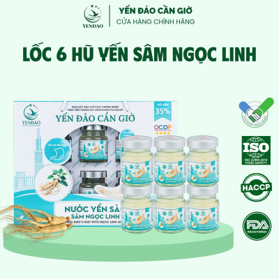 Yến Đảo - Hũ Yến Sào Sâm Ngọc Linh Hỗ Trợ Bổ Phổi, Bổ Huyết, Tăng Cường Sức Đề Kháng 6 Hộp 70ml