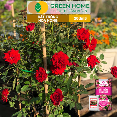 Đất Trồng Hoa Hồng Greenhome, Sfarm, Túi 4Kg, Hữu Cơ, Trộn Sẵn, Tiện Lợi, Đầy Đủ Dinh Dưỡng