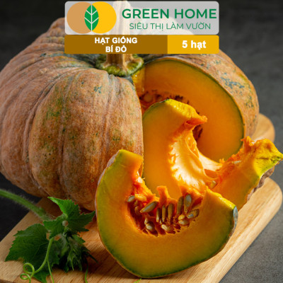 Hạt Giống Bí Đỏ Greenhome, Gói 5 Hạt, Dễ Trồng, Nảy Mầm Cao, Thu Hoạch Nhanh, Năng Suất Cao T03