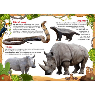 Sách - Khám Phá Động Vật 5 Châu - Châu Phi