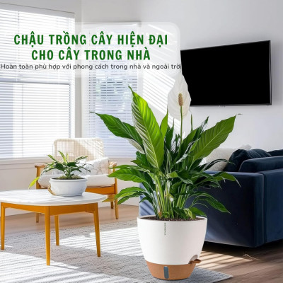 Chậu trồng cây tự tưới thông minh MONROVIA cho cây trong nhà hoặc ngoài trời, decor, văn phòng