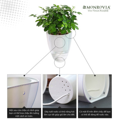 Chậu tự tưới treo tường K01 MONROVIA dành cho cây, hoa, decor không gian sống, văn phòng