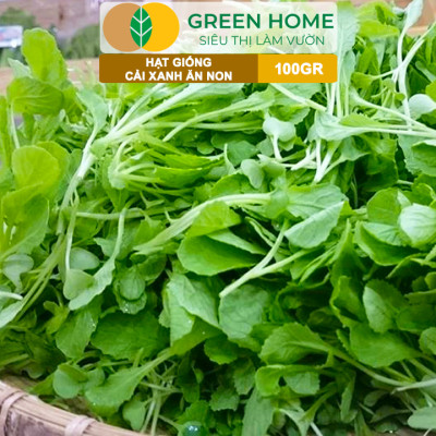 Hạt Giống Rau Cải Ăn Non GreenHome, GÓI 100GR, Dễ Trồng, Nảy Mầm Cao, Thu Hoạch,Năng Suất R29