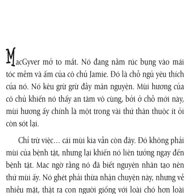 Nhân Duyên ... Mèo Định