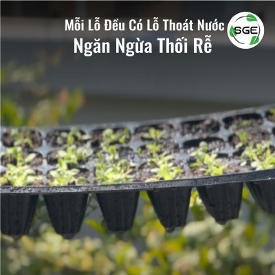 Khay Gieo Hạt/ Khay Ươm Cây Giống GT. Cho Năng Suất Cao, Cây Nhanh Lớn, Cây Con Khỏe, Dễ Sinh Trưởng. Thương Hiệu SGE