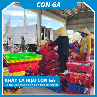 Khay nhựa chữ nhật trồng rau/đựng đồ/ đựng cá siêu bền Siam Brothers - Đỏ