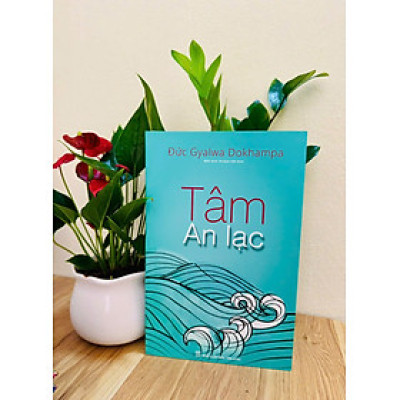 Sách - Tâm An Lạc : Một cách nhìn mới, một cuộc đời mới