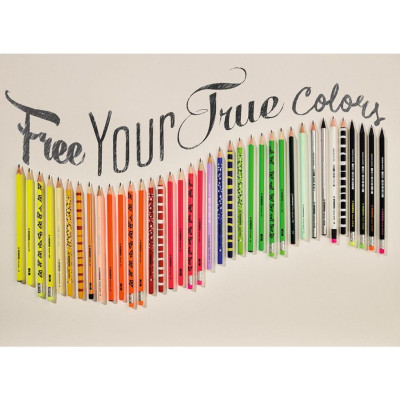 Hộp 12 cây bút chì gỗ STABILO Swano 2B thân đen (PC4918/12-2B) - Xanh lá