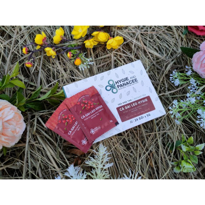 Cà Gai Leo - Trà thảo dược hòa tan Hygie&Panacee hộp 24 gói 24 lần pha - Hỗ trợ thải độc Gan, suy giảm chức năng Gan