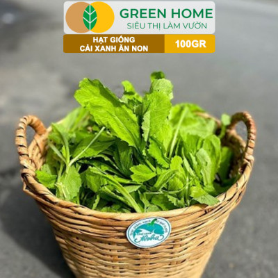 Hạt Giống Rau Cải Ăn Non GreenHome, GÓI 100GR, Dễ Trồng, Nảy Mầm Cao, Thu Hoạch,Năng Suất R29