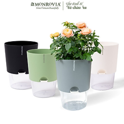 Chậu tự tưới trong suốt A712 Monrovia cho cây cảnh, hoa, bonsai để bàn, decor, ban công