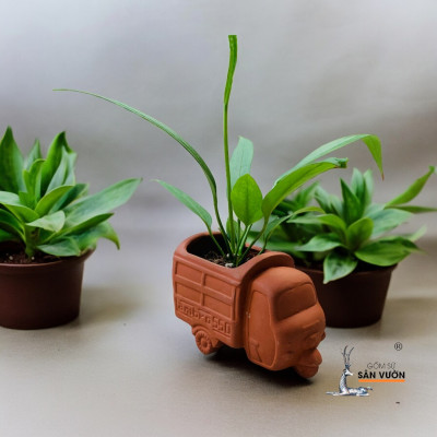 Chậu Gốm Đất Nung Mini Hình CHiếc Xe Lam