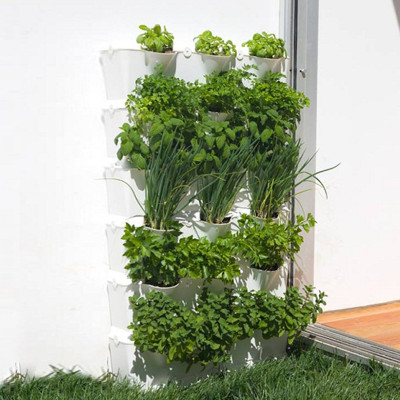 Tự Trồng Rau Đứng Minigarden tại nhà kèm Hệ Thống Tưới Nhỏ Giọt Bán Tự Động 2L/h + Bình Châm Phân Bón cho rau chứa 8 lít và  khung Module Vertical nhập khẩu Châu Âu (Không Cần Thay Đất cho Rau)