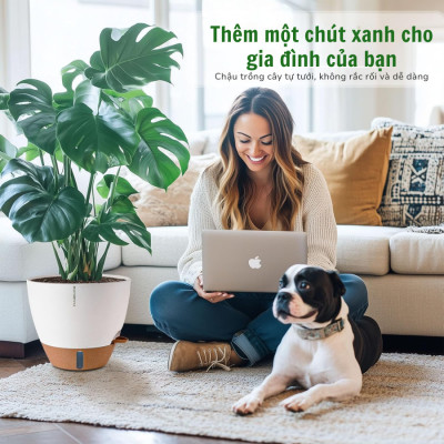Chậu trồng cây tự tưới thông minh MONROVIA cho cây trong nhà hoặc ngoài trời, decor, văn phòng