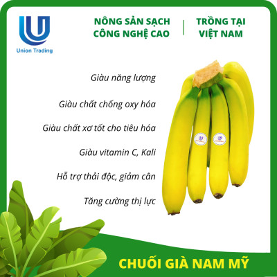 Chuối Tươi Union Trading - Nải 1Kg - Thơm Dẻo, Giàu Dinh Dưỡng - Trồng Công Nghệ Cao Tại Việt Nam