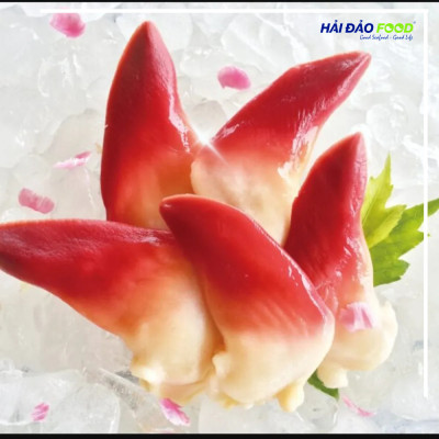 Sò Đỏ Canada Size M - 1 Kg Hàng Cấp Đông