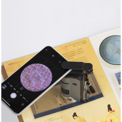 Kính Hiển Vi Carson MicroFlip MP-250 100x-250x Cao Cấp - Hàng Nhập Khẩu