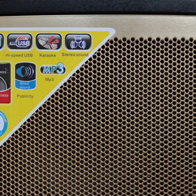 Loa Kéo Di Động Karaoke Bass 30 Daichipro DCP-12A (600W) 3 Tấc - Chính Hãng