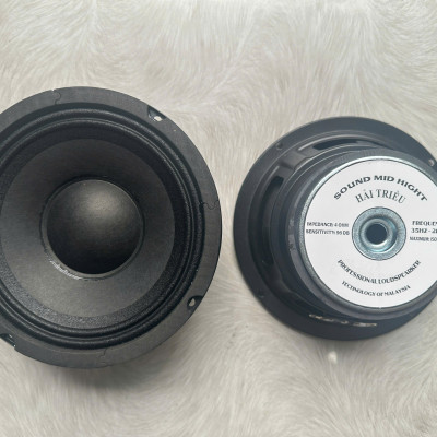 CỦ LOA BASS RỜI 16 HÀNG CHÍNH HÃNG HẢI TRIỀU COIL 38 TỪ 100 MÀN ĐEN (GIÁ 1 CÁI)