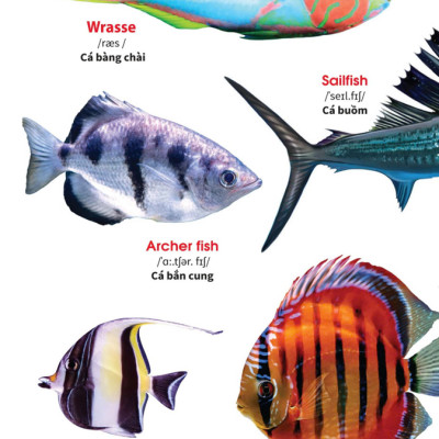 Sách - My First Book Of Animals - Động vật dưới nước (VT)