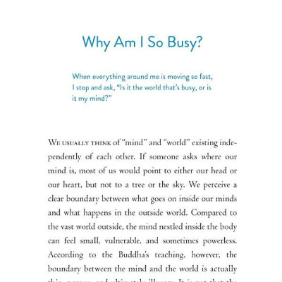 The Things You Can See Only When You Slow Down: How To Be Calm And Mindful In A Fast-Paced World