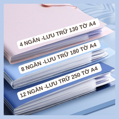 File đựng tài liệu A4 / Túi tài liệu A4 4-8-12 ngăn phân trang – lưu trữ tài liệu