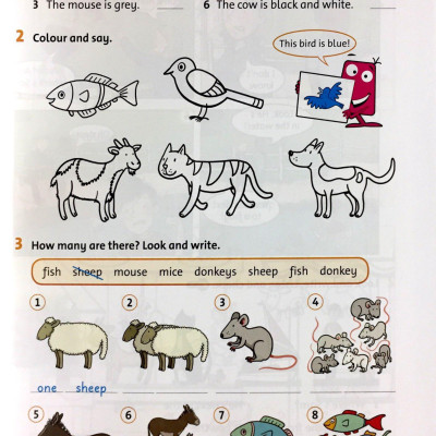 GET READY FOR STARTERS: SB WITH DOWNLOADABLE AUDIO: MAXIMIZE CHANCES OF EXAM