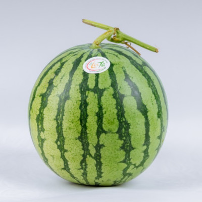 [Chỉ Giao HCM] - Dưa hấu ruột đỏ không hạt (3 - 5 kg/trái)