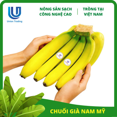 Chuối Tươi Union Trading - Nải 1Kg - Thơm Dẻo, Giàu Dinh Dưỡng - Trồng Công Nghệ Cao Tại Việt Nam