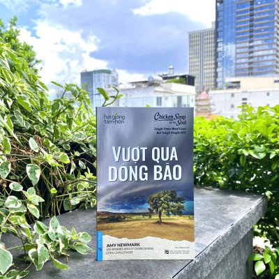Hạt Giống Tâm Hồn - Vượt Qua Dông Bão 