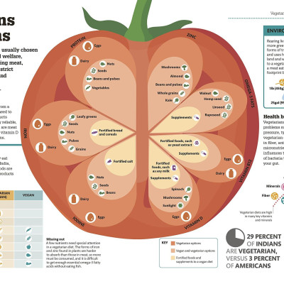 How Food Works: The Facts Visually Explained (How Things Work)