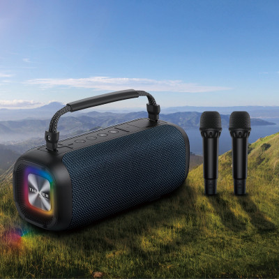 Loa Wiwu Thunder Wireless Speaker P17 cho các thiết bị kết nối bluetooth, âm thanh nổi, có 2 micro - Hàng chính hãng