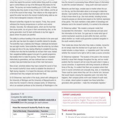 Expert IELTS 7.5 Student