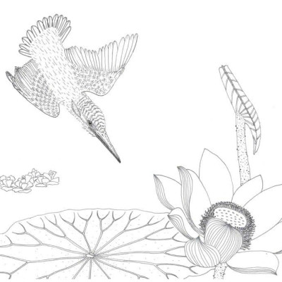 Trong Đầm Gì Đẹp Bằng Sen - Sách Tô Màu