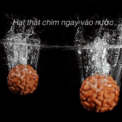 VÒNG CHUỖI 108 HẠT BỒ ĐỀ KIM CANG NEPAL TỰ NHIÊN MÀI NHẴN 12ly