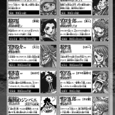 One Piece 101