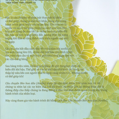 Câu Chuyện Bèo Hoa Dâu AZOLLA - Một Thông Điệp Từ Tương Lai