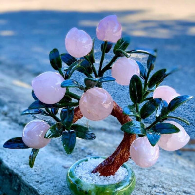 (MẪU MỚI ) Cây đào đá hồng thạch anh 9 quả - cao 30cm & 40cm