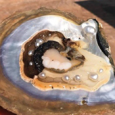 Combo Vòng đeo tay Ngọc Trai Nuôi cấy tự nhiên đính đá Cẩm Thạch, KÈM BẢN PHOTOCOPY GIẤY KIỂM ĐỊNH, KÈM HỘP CUNG HỶ LÓT NHUNG, ĐÍNH HOA HỒNG