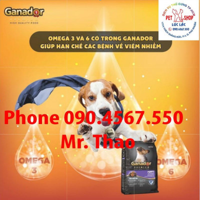 20KG Đủ Loại Thức ăn cho chó Ganador - FIB