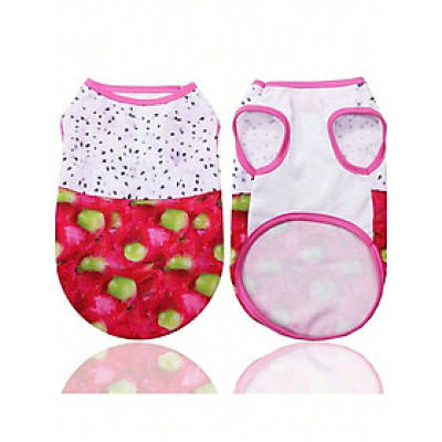 ÁO QUẢ THANH LONG DỄ THƯƠNG CHO THÚ CƯNG CHÓ MÈO