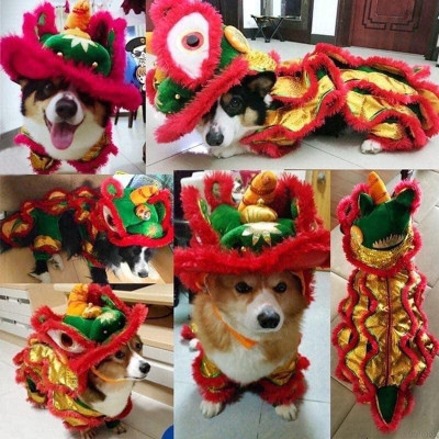 Bộ trang phục múa lân đáng yêu dành cho thú cưng , Lân Đầu Rời. Quần áo Trung Thu cho  Chó Mèo
