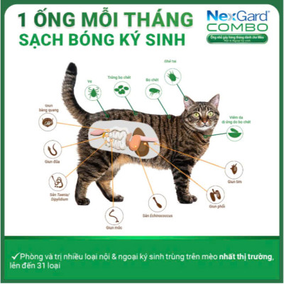 NEXGARD COMBO - Nhỏ gáy Ve Rận, Phòng và Trị Nội Ngoại Kí Sinh cho Mèo