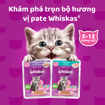 [Combo 12 Gói] Thức Ăn Cho Mèo Con WHISKAS Junior 2-12 months Vị Cá Ngừ 80g/Gói