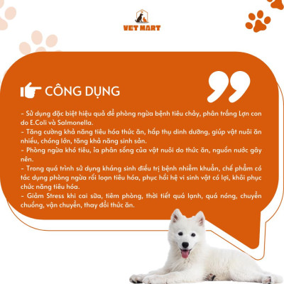 Five-Men Tiêu Hóa - Bổ sung vi sinh vật có lợi, ngừa tiêu chảy, hôi phân 500G_Fivevet