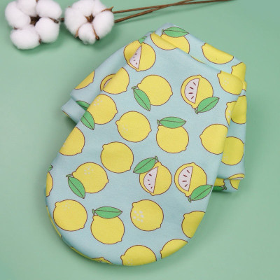 Xả hàng - Áo nỉ họa tiết đáng yêu dành cho chó mèo